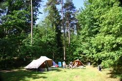 Natuurcamping Staatsbosbeheer Drenthe