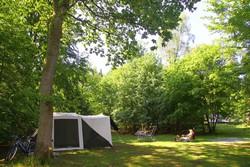 Camping Vlintentholt Odoorn07