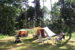 Camping Vlintentholt Odoorn09