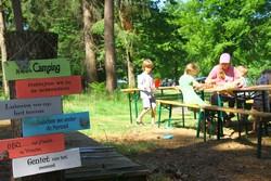 kamperen in het bos op een boscamping