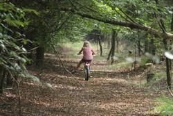 natuurkamperen drenthe