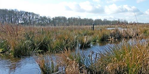 Seizoenplaats Drenthe